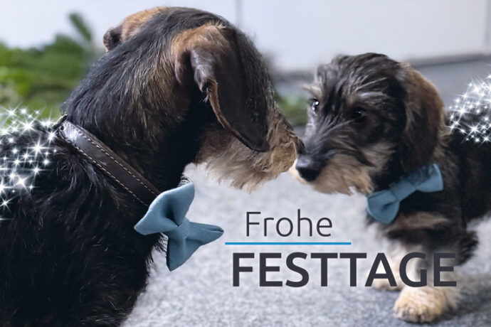 Frohe Festtage wünschen unsere Feelgood-Manager Emil und Franz!